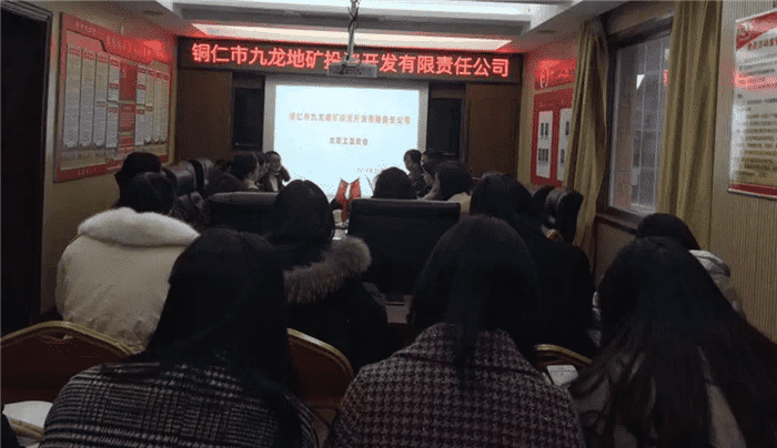 九龙地矿公司妇联召开“我爱我家”座谈会