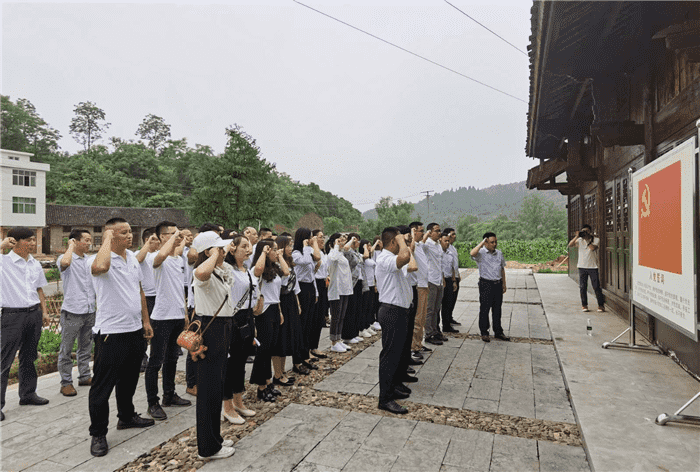 公司开展“支部联建谋奋进，产业互鉴促发展”主题党日活动