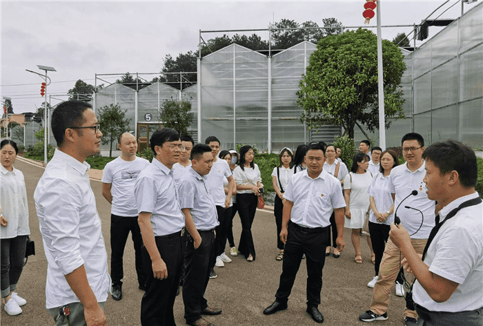 公司开展“支部联建谋奋进，产业互鉴促发展”主题党日活动