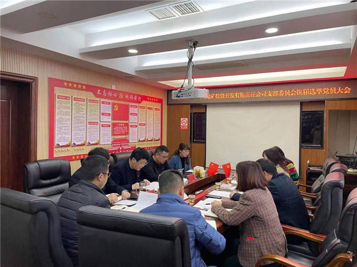 中共铜仁市九龙地矿投资开发有限责任公司支部委员会换届选举党员大会胜利召开