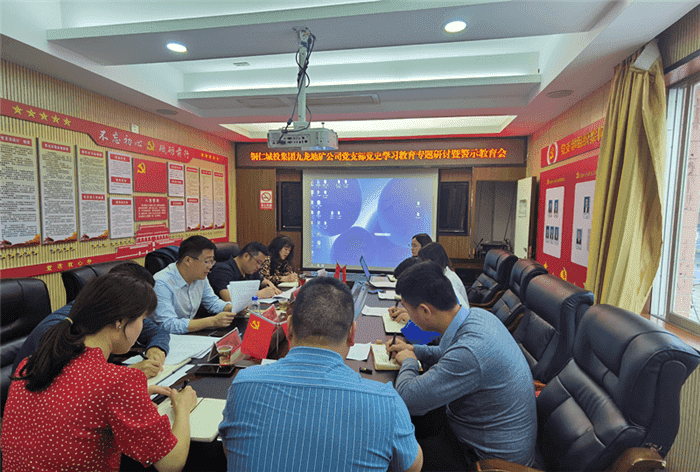 铜仁城投集团九龙地矿公司党支部开展党史学习教育专题研讨暨警示教育大会