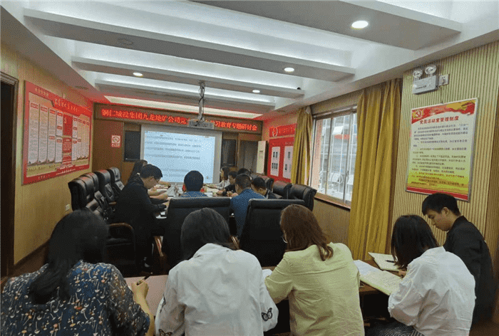 铜仁城投集团九龙地矿公司党支部召开第四次党史学习专题研讨会