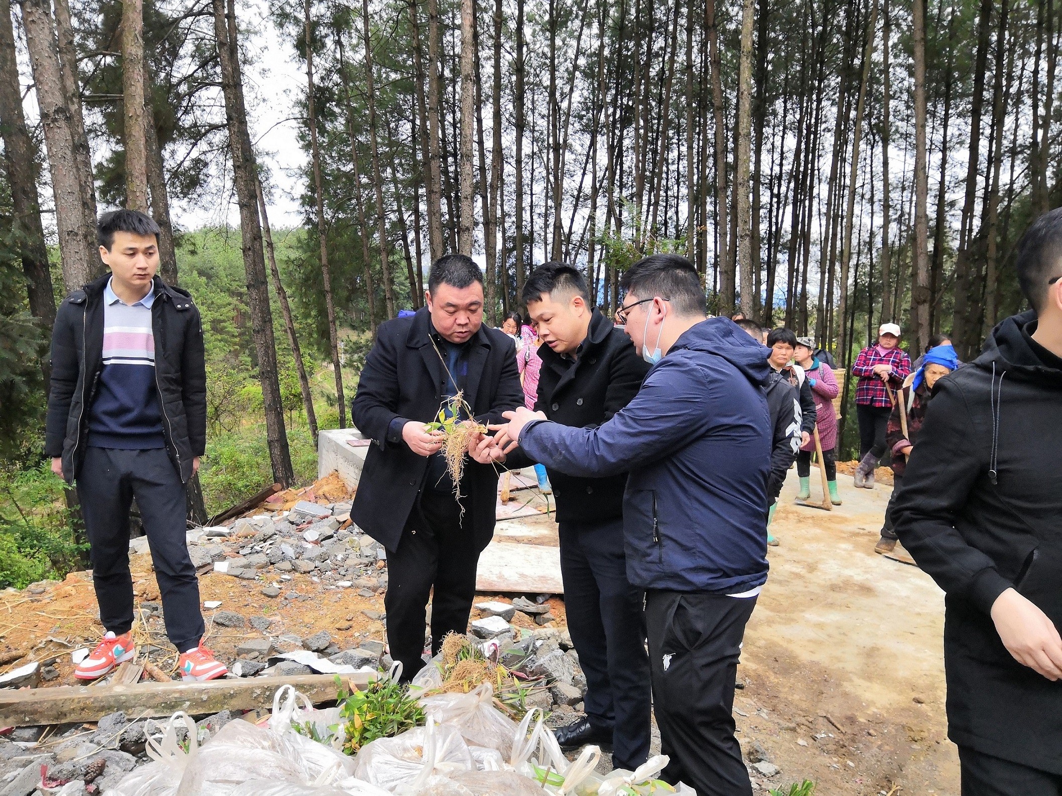 铜仁市城交集团九龙地矿公司总经理王刚一行前往石阡县国家储备林项目（五期）检查工作