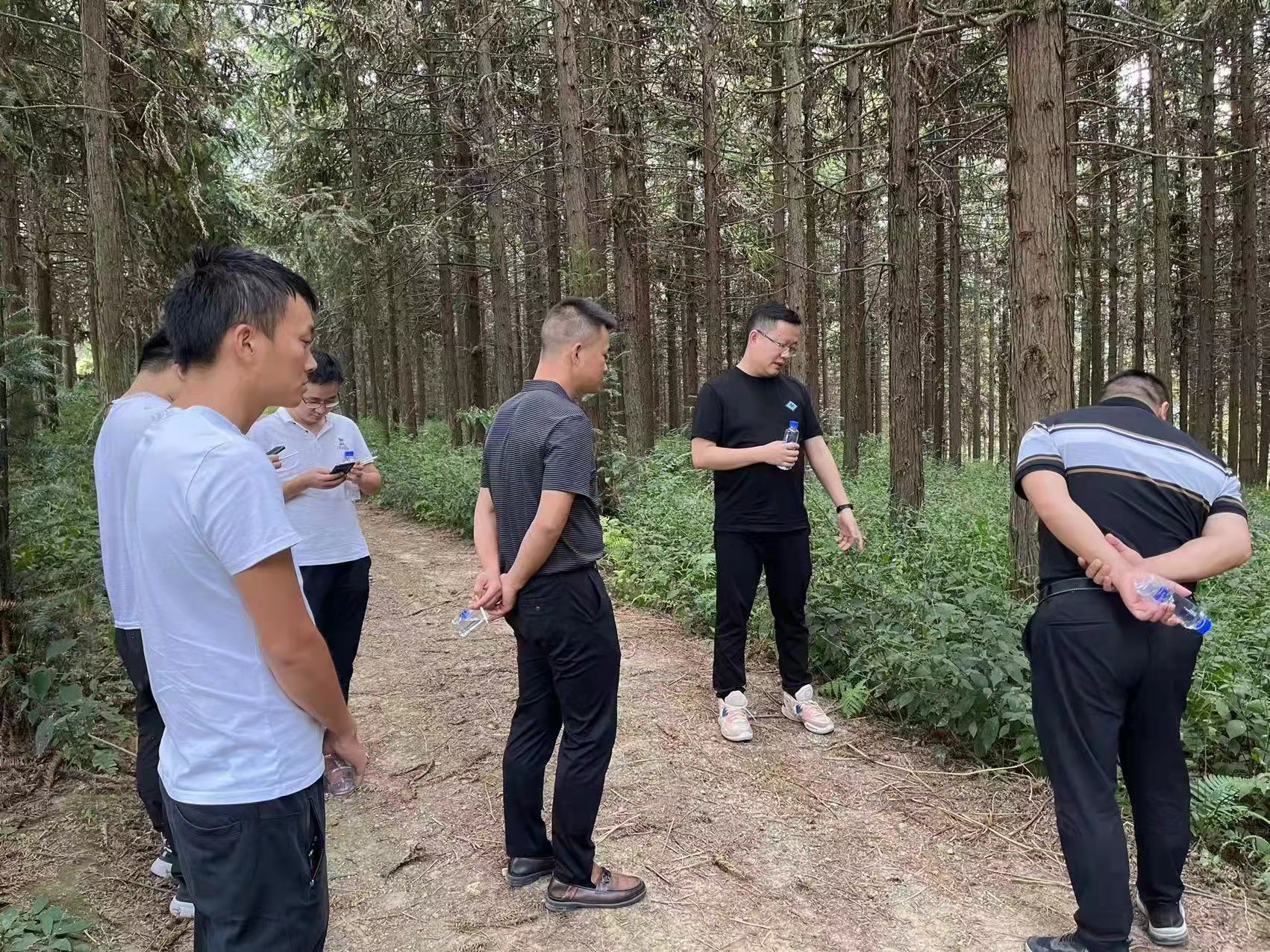 铜仁城交集团九龙地矿公司前往石阡县检查羊肚菌种植基地项目建设地推进情况