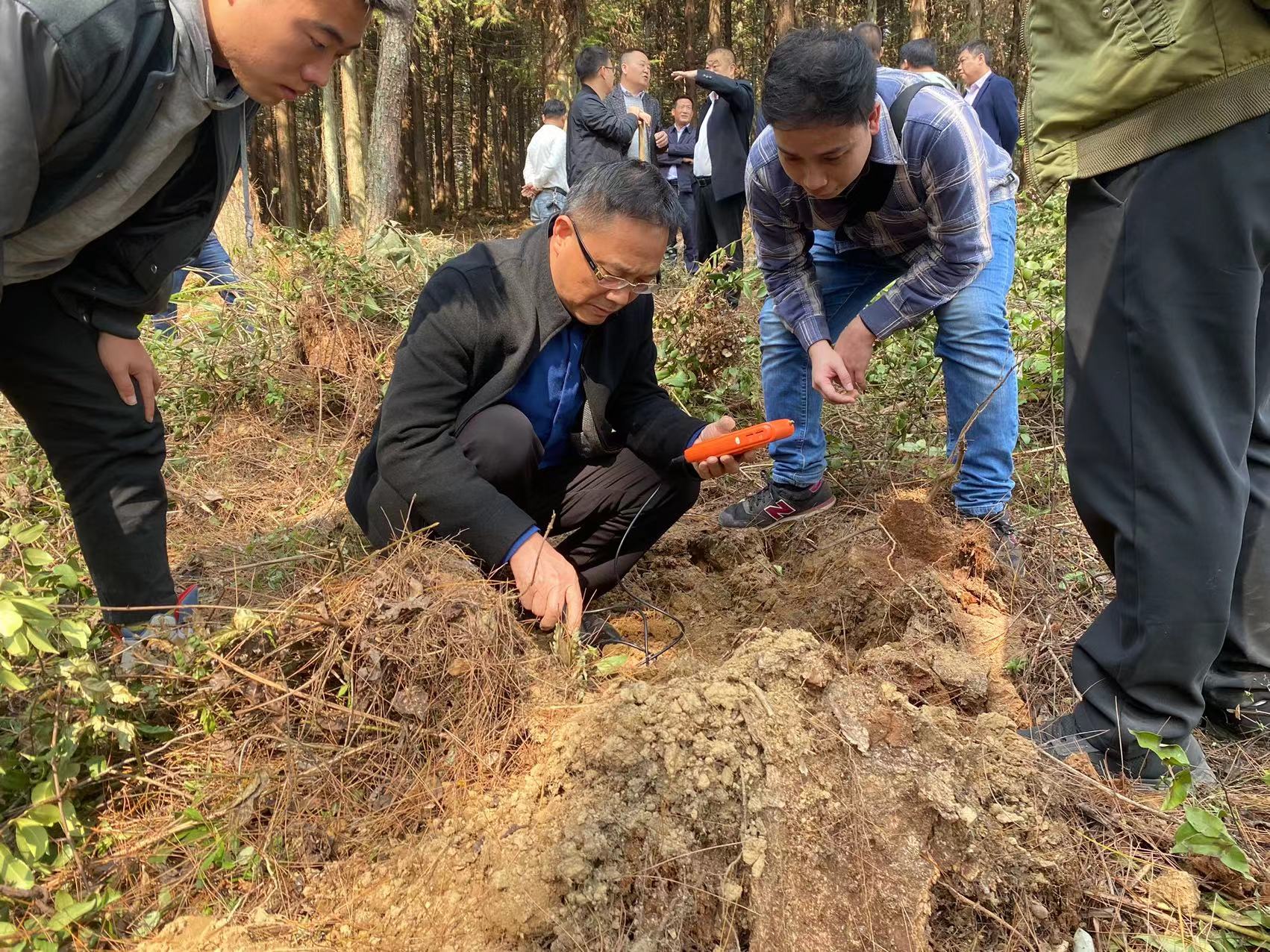 杨仁德赴石阡县林下羊肚菌省级示范基地调研