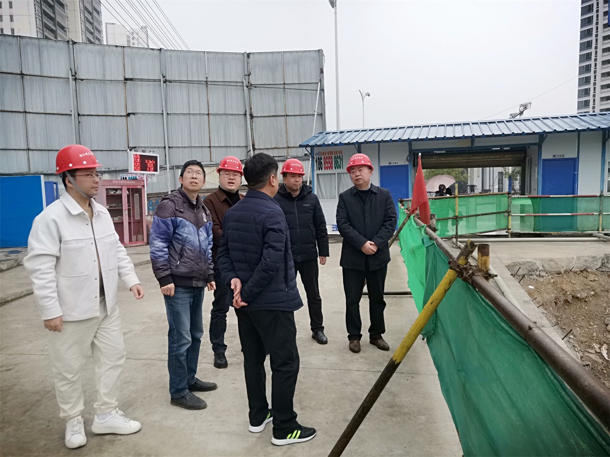 九龙地矿集团监事会主席田荣山带队赴 在建项目开展实地督查