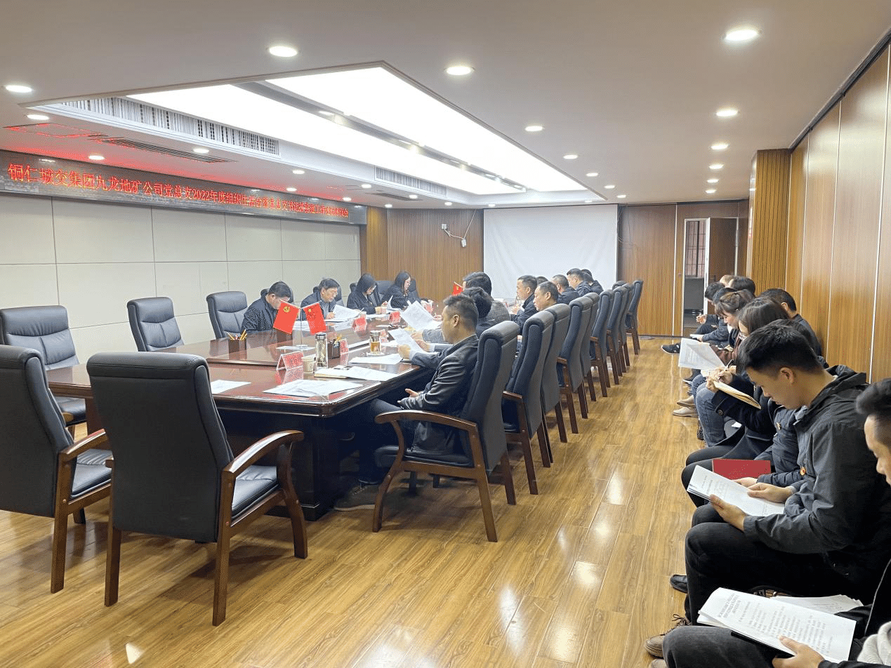 九龙地矿集团党总支召开2023年组织生活会暨党总支书记抓党建工作述职评议会