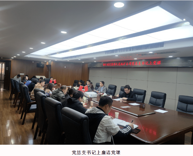 清廉国企建设动态——九龙地矿集团党总支组织党员干部开展党纪 法规知识测试主题党日活动